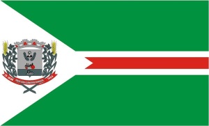 Bandeira do Município.